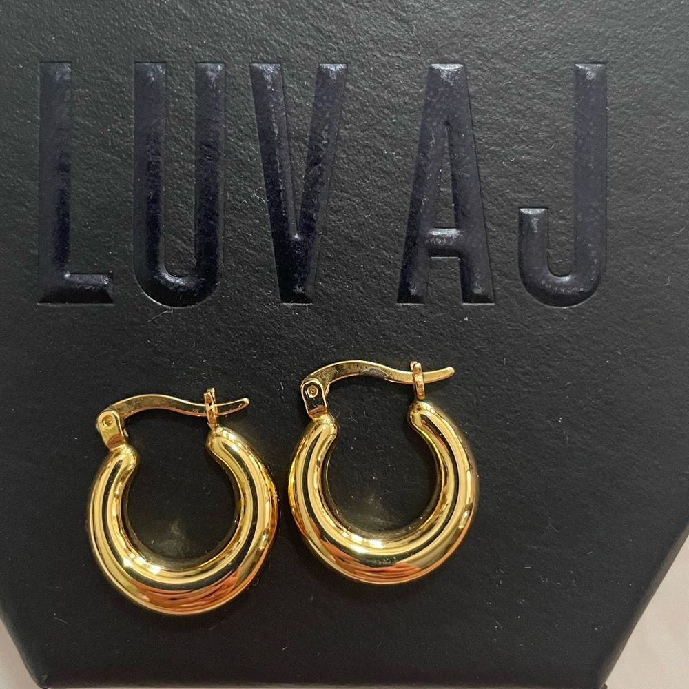 New without tags Luv Aj small hoop earrings